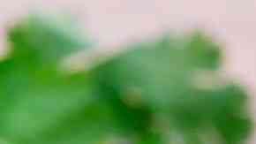 un recipiente de vidrio con salsa de perejil casera