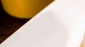 cau cau de pollo casero