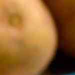 Plata de carapulcra con arroz