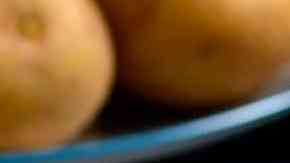 Plata de carapulcra con arroz