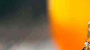 tarro con miel de abejas