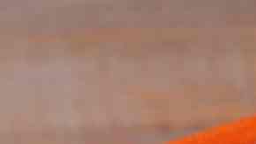 cazuela de pescado con salsa americana