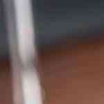 filete de pescado bañado en salsa de almendras