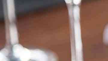 filete de pescado bañado en salsa de almendras