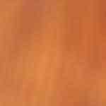 sopa de cebolla casera