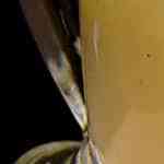 plato de espaguetis con salsa blanca