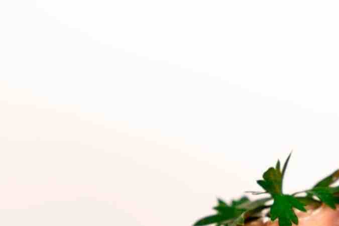 salsa coctel rosa casera