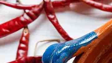 ensalada de nopales mexicana