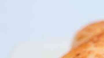 pan de yuca colombiano