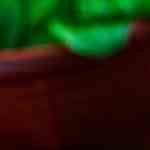 plato con ensalada de aguacate y huevo