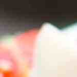 plato con ensalada de huevo casera