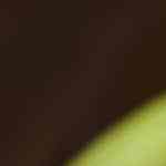 plato con patacones listos para comer