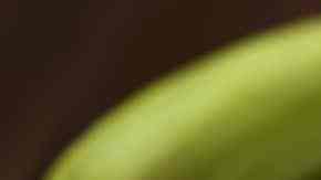 plato con patacones listos para comer