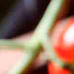 deliciosa salsa ketchup casera