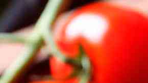 deliciosa salsa ketchup casera