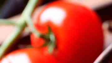 deliciosa salsa ketchup casera