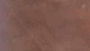 Suculento plato lleno de sabores y olores para un día lluvioso