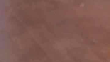 Suculento plato lleno de sabores y olores para un día lluvioso