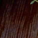 Berenjenas con queso