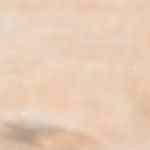 un plato que te hará brillar en la cocina