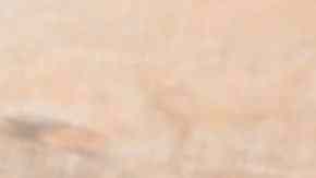 un plato que te hará brillar en la cocina