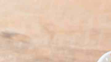 un plato que te hará brillar en la cocina