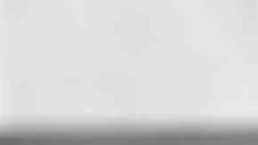 Deliciosa lasaña de espinacas y pollo