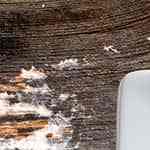 pan de gambas chino hecho en casa