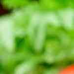 Hamburguesa de merluza