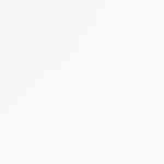 Marranitas colombianas