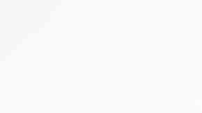 Marranitas colombianas