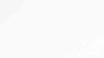 Marranitas colombianas