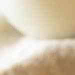 Pan de perro caliente