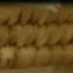 Pan baguette, pan de leche