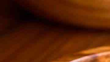 deliciosa ensalada de lentejas con quinoa