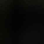 Hamburguesa de salmón