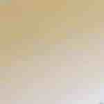 Pan naan (pan indio)