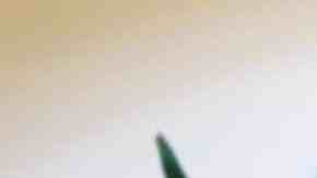 Pan naan (pan indio)