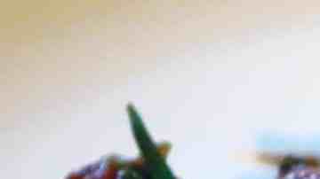 Pan naan (pan indio)