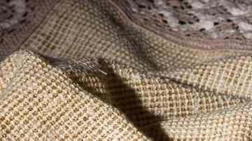 Pan de trigo serraceno