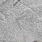 Brócoli en salsa de queso azul