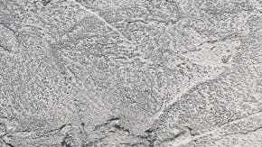 Brócoli en salsa de queso azul