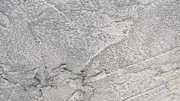 Brócoli en salsa de queso azul