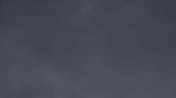 Hamburguesa de costilla, rib burger