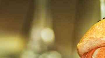 Deliciosas hamburguesas de gambas