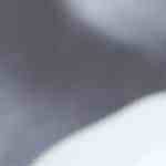 cazuela de camarones en salsa de tomate