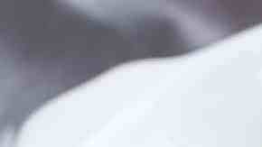 cazuela de camarones en salsa de tomate