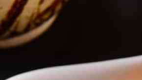 delicioso ceviche de salmon