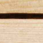 plato con crema de lechuga