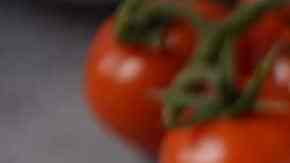 Bowl de ensalada de gambas con aguacate